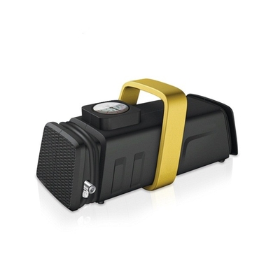 compresseurs d'air du véhicule électrique 200psi Dc12v Ac110v - 230v Mini Air Pump